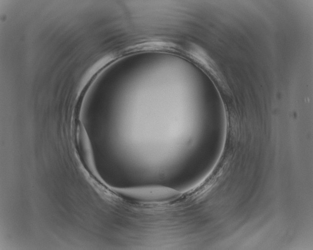 X0000074211426200609011140