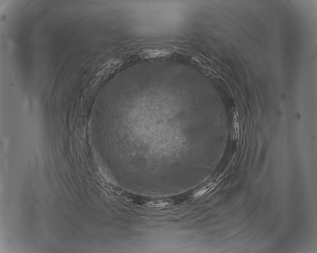 X0000074211441200609011140