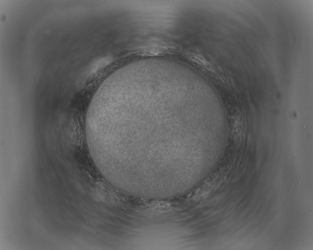 X0000074211446200609011140