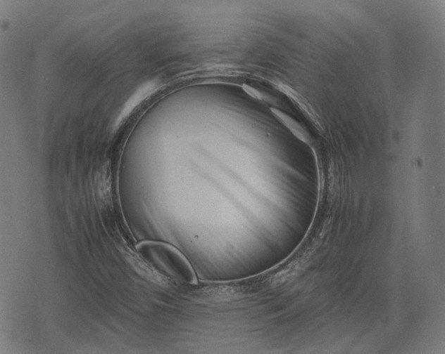 X0000074211450200609011140