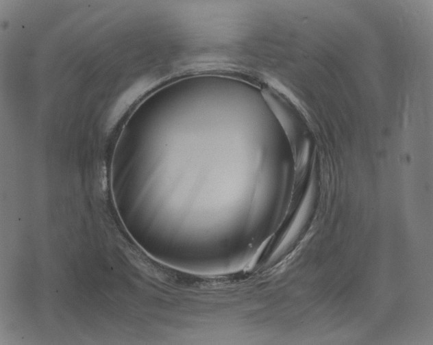X0000074211461200609011139