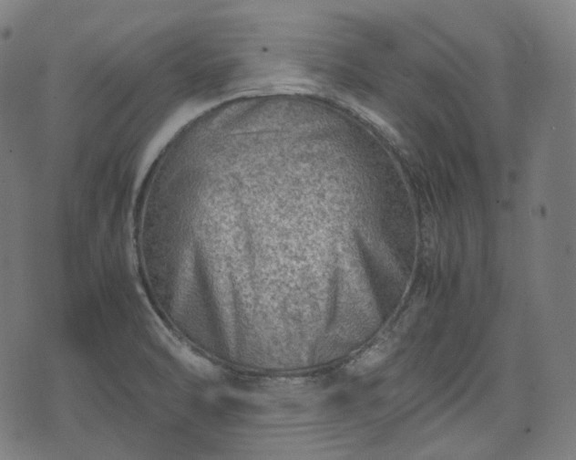 X0000074211470200609011139