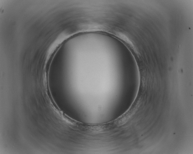 X0000074211472200609011139