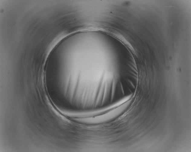 X0000074211484200609011139