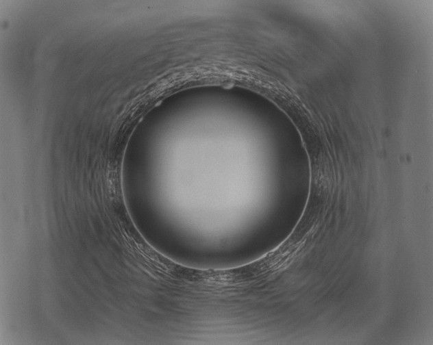 X0000074211490200609011138