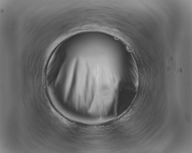 X0000074211527200609011139