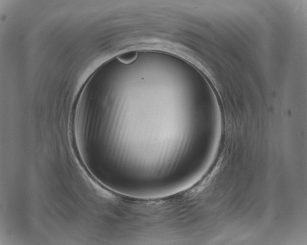X0000074211533200609011139