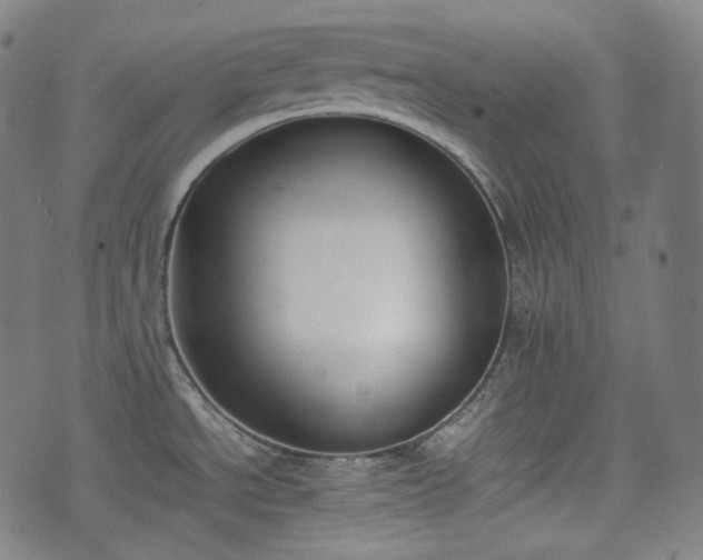 X0000074211534200609011139