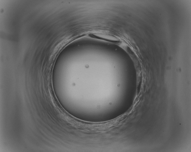 X0000074210001200609081542