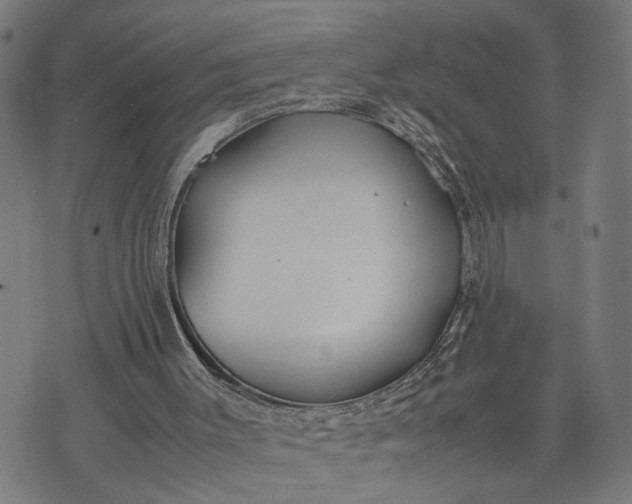 X0000074210003200609081542