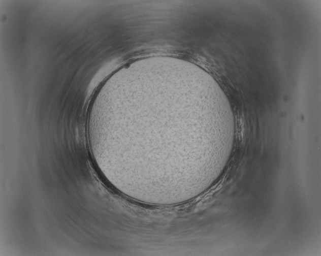 X0000074210004200609081542