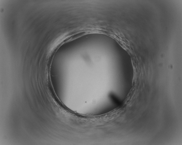 X0000074210005200609081542