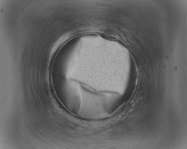 X0000074210006200609081542