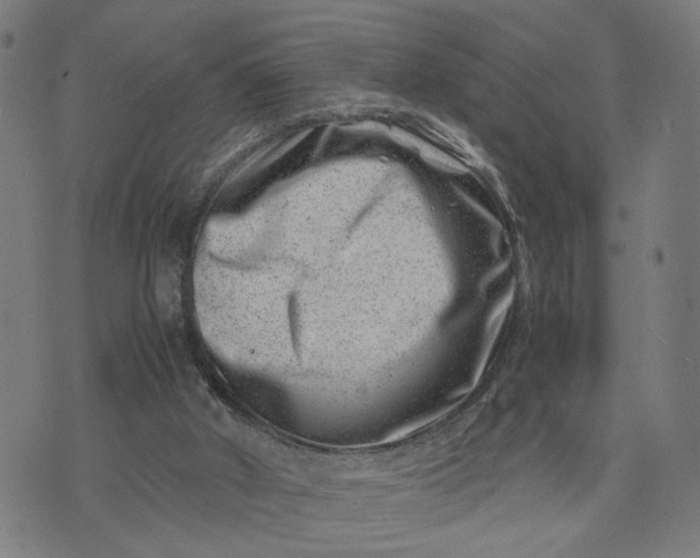 X0000074210010200609081542