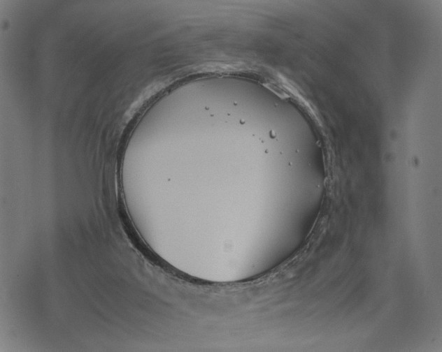 X0000074210011200609081542