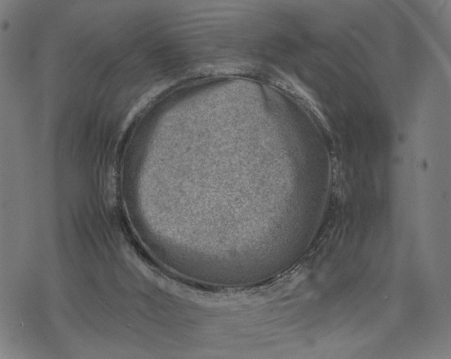 X0000074210012200609081542