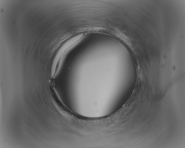 X0000074210013200609081542