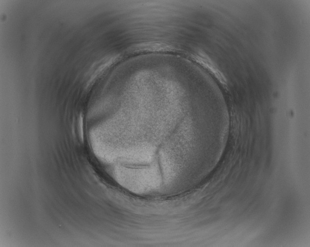 X0000074210014200609081542