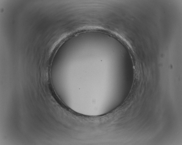 X0000074210015200609081542