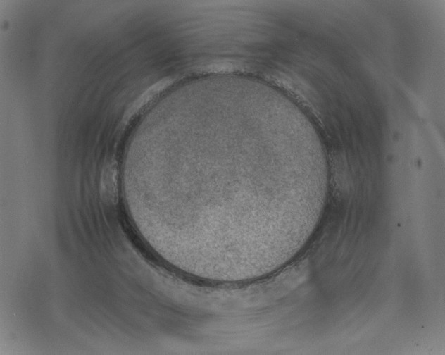 X0000074210016200609081542