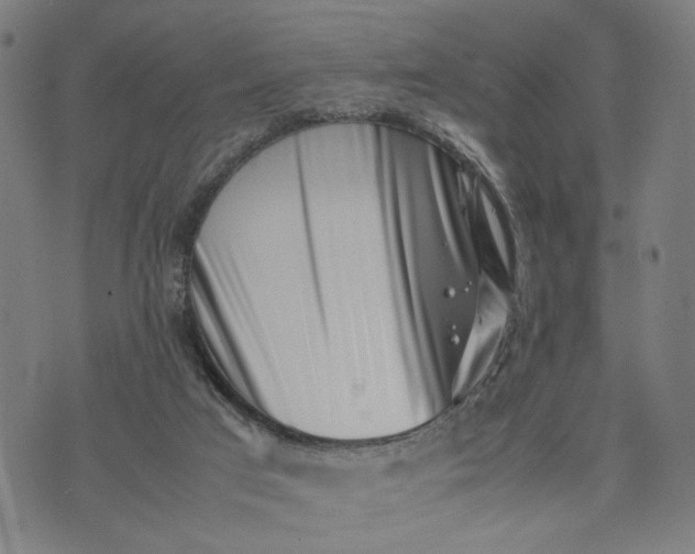 X0000074210017200609081542