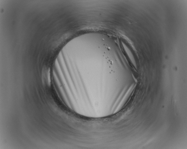 X0000074210020200609081542