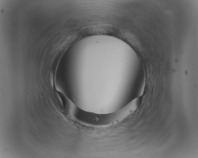 X0000074210021200609081542