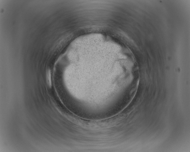 X0000074210022200609081542