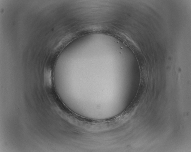 X0000074210024200609081542