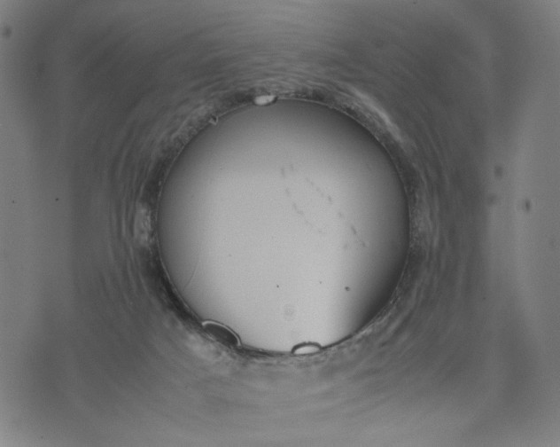 X0000074210025200609081542