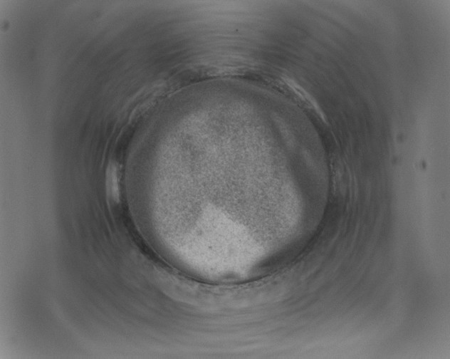 X0000074210026200609081542