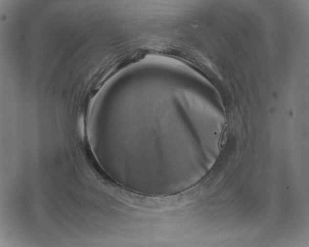 X0000074210027200609081542