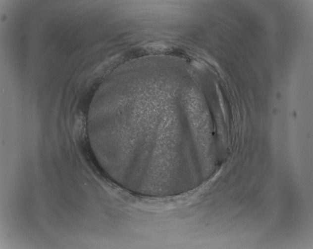 X0000074210029200609081542