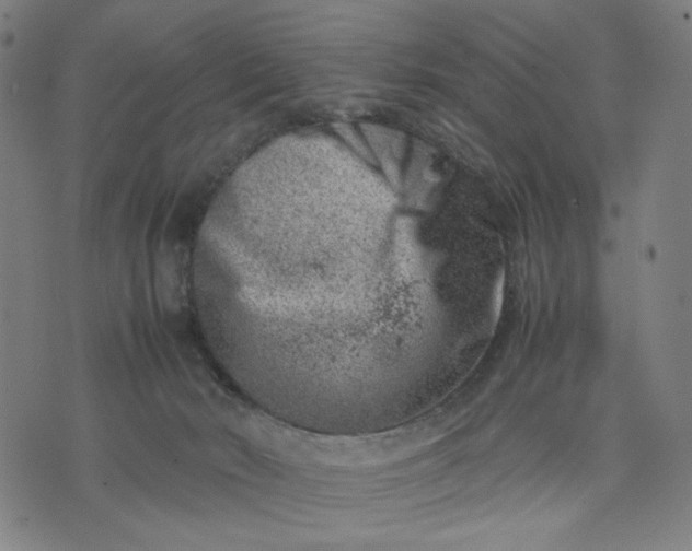 X0000074210030200609081542