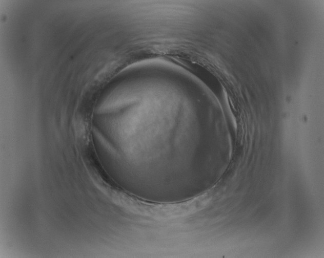 X0000074210031200609081542