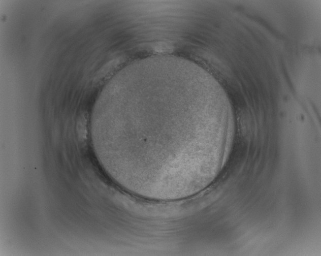 X0000074210032200609081542