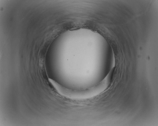 X0000074210033200609081542