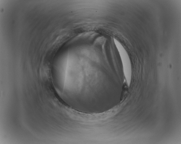 X0000074210035200609081542