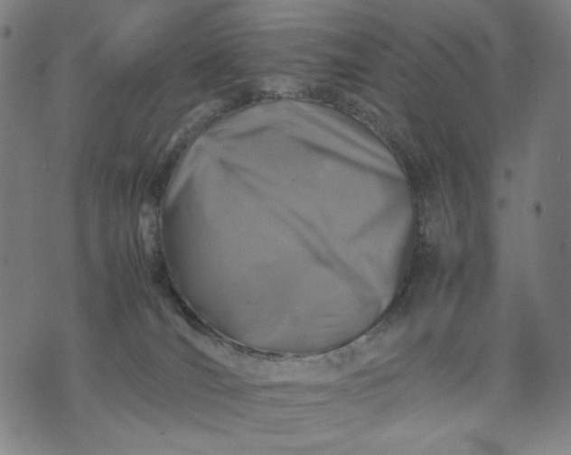 X0000074210036200609081542