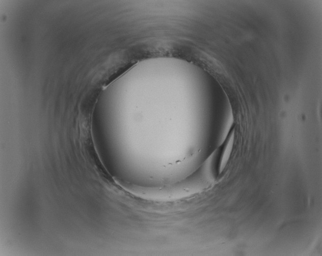 X0000074210037200609081542