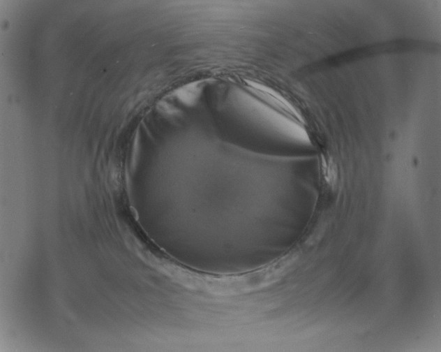 X0000074210039200609081542