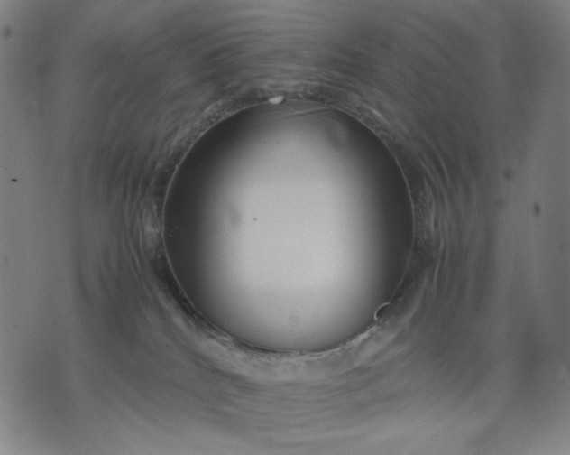 X0000074210040200609081542