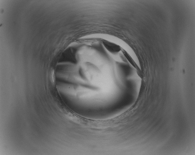 X0000074210041200609081542