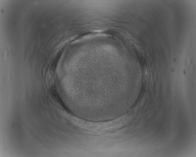 X0000074210043200609081542