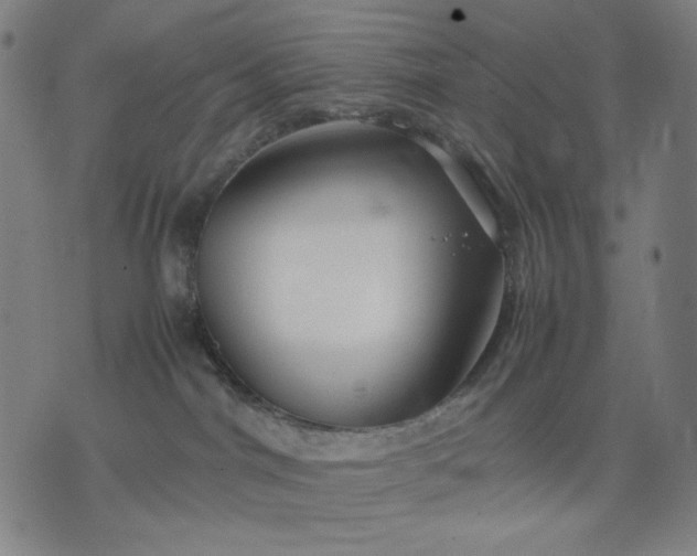 X0000074210044200609081542