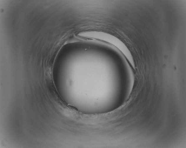 X0000074210045200609081542