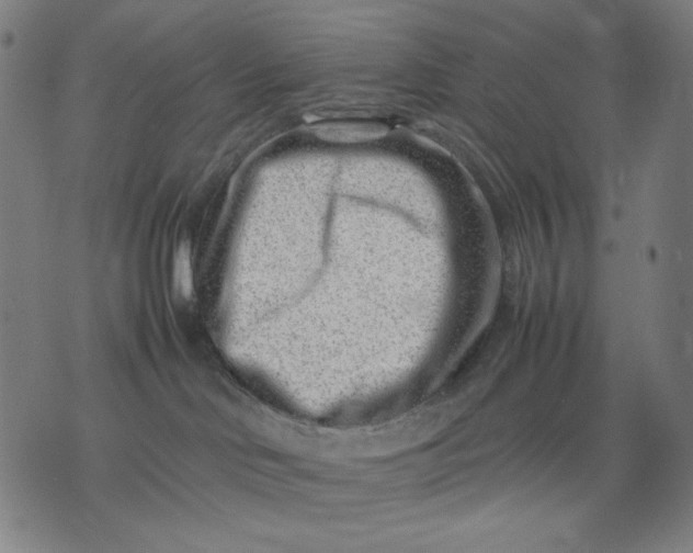 X0000074210046200609081542