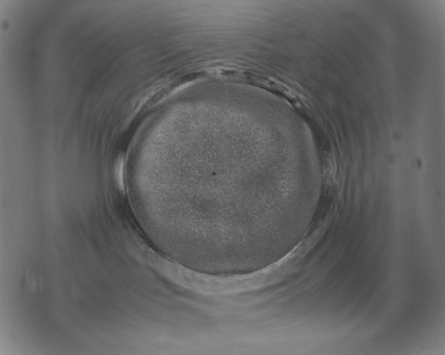 X0000074210047200609081542