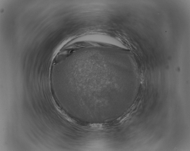 X0000074210052200609081541