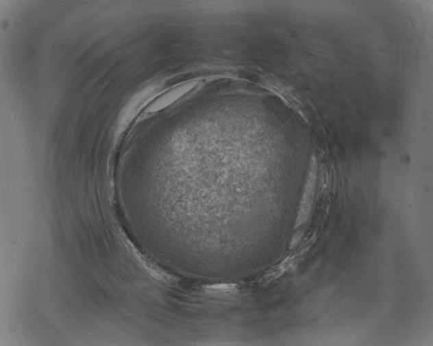 X0000074210053200609081541